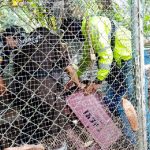 Detenido en Napo tras operativo por presunta tenencia ilegal de animales silvestres