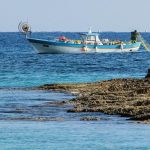 Ecuador logró importantes avances para mejorar el control de la pesca en el Pacífico Sur
