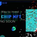 BingX lanza una innovadora inversión en NFT a través del crowdfunding
